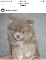 processed/40e0830d-258a-476e-a9f2-79045751268e/facility/c1ae2d22-135a-4b68-a991-0bcdb9018d8d