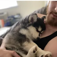 processed/40e0830d-258a-476e-a9f2-79045751268e/facility/c25ab451-188c-4bd2-9c31-c862f78ecbad