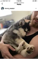 processed/40e0830d-258a-476e-a9f2-79045751268e/facility/c25ab451-188c-4bd2-9c31-c862f78ecbad