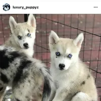 processed/40e0830d-258a-476e-a9f2-79045751268e/facility/dbc95fcf-d385-4e8f-aec1-326f1fb8f35c