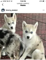 processed/40e0830d-258a-476e-a9f2-79045751268e/facility/dbc95fcf-d385-4e8f-aec1-326f1fb8f35c