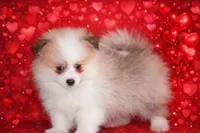 processed/40e0830d-258a-476e-a9f2-79045751268e/listing/1a1affc8-e4dd-435f-a3de-23b8bebb9843/b1f8489b-40d5-497e-ab22-eb1cd533467b