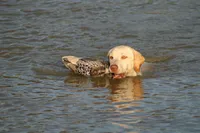 processed/40e8ec88-51f4-41ef-ac57-53507bd45ea5/facility/80c29dd5-37ee-4fc5-bf92-c229080d0bcd