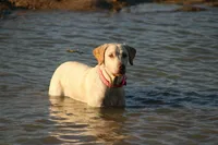 processed/40e8ec88-51f4-41ef-ac57-53507bd45ea5/facility/82eaae4e-0970-41a0-8066-9e6174d00450