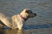 processed/40e8ec88-51f4-41ef-ac57-53507bd45ea5/facility/a64625a1-7752-4004-bd2c-b94cb50f63da