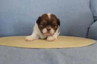 processed/40ed4b4e-07ab-4ab7-a6b0-6351a3ecf118/listing/5f43fcc2-ddda-43c9-8fd8-77e0a954885c/a09ce5dc-f489-495c-94b4-788de89f9d01