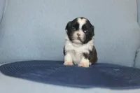 processed/40ed4b4e-07ab-4ab7-a6b0-6351a3ecf118/listing/d0b731c7-757c-4ed5-8485-7e2ef1d2f45a/06f87b2e-8c8c-4dea-911e-23d46dbda0b3