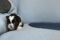 processed/40ed4b4e-07ab-4ab7-a6b0-6351a3ecf118/listing/d0b731c7-757c-4ed5-8485-7e2ef1d2f45a/713d49a2-2f4f-4f81-a2f9-9af2ab7931d0