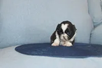 processed/40ed4b4e-07ab-4ab7-a6b0-6351a3ecf118/listing/d0b731c7-757c-4ed5-8485-7e2ef1d2f45a/9a1a307a-6ed8-4d31-9e89-3cac7e3ce0cc