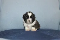 processed/40ed4b4e-07ab-4ab7-a6b0-6351a3ecf118/listing/d0b731c7-757c-4ed5-8485-7e2ef1d2f45a/9ed4b708-17c0-4e8a-b06f-ad8e3923066a