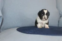 processed/40ed4b4e-07ab-4ab7-a6b0-6351a3ecf118/listing/d0b731c7-757c-4ed5-8485-7e2ef1d2f45a/a0e78a45-4c54-4c72-9289-4a3e9de1db19