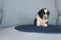 processed/40ed4b4e-07ab-4ab7-a6b0-6351a3ecf118/listing/d0b731c7-757c-4ed5-8485-7e2ef1d2f45a/a0ff20d7-2733-4240-9647-8f76f4214aef