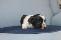 processed/40ed4b4e-07ab-4ab7-a6b0-6351a3ecf118/listing/d0b731c7-757c-4ed5-8485-7e2ef1d2f45a/d07c4341-da9c-4683-9894-07c217396054