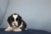 processed/40ed4b4e-07ab-4ab7-a6b0-6351a3ecf118/listing/d0b731c7-757c-4ed5-8485-7e2ef1d2f45a/f262964d-27a7-4205-87a4-4613c48eeb37