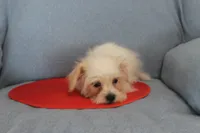 processed/40ed4b4e-07ab-4ab7-a6b0-6351a3ecf118/listing/ef7fd5dd-a51b-41f7-9a91-88435c3e9879/57fb2f63-8493-42f2-8d05-d1e5f6dbde6b