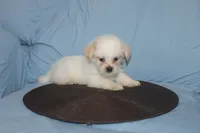 processed/40ed4b4e-07ab-4ab7-a6b0-6351a3ecf118/listing/ef7fd5dd-a51b-41f7-9a91-88435c3e9879/79f5fddc-a029-42a1-94b5-23ef0ae25ecb