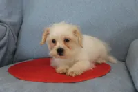 processed/40ed4b4e-07ab-4ab7-a6b0-6351a3ecf118/listing/ef7fd5dd-a51b-41f7-9a91-88435c3e9879/a242c7ea-284d-4d1b-9bc1-dfa1bb6714fc