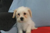 processed/40ed4b4e-07ab-4ab7-a6b0-6351a3ecf118/listing/ef7fd5dd-a51b-41f7-9a91-88435c3e9879/c6613941-5ee6-4ec8-877b-1110d3347957