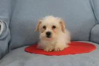 processed/40ed4b4e-07ab-4ab7-a6b0-6351a3ecf118/listing/ef7fd5dd-a51b-41f7-9a91-88435c3e9879/d6a76eb9-ed2a-4a65-8582-b4644e49886c