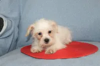 processed/40ed4b4e-07ab-4ab7-a6b0-6351a3ecf118/listing/ef7fd5dd-a51b-41f7-9a91-88435c3e9879/e3de60d8-368f-455c-b928-61f9b6f812cc