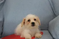 processed/40ed4b4e-07ab-4ab7-a6b0-6351a3ecf118/listing/ef7fd5dd-a51b-41f7-9a91-88435c3e9879/eb54cfa6-8f65-434c-8058-6ada16c88672