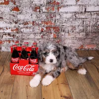 processed/40ee3acc-5285-4335-9d77-afa6347c268b/facility/4aa8e3f1-5cc4-40ea-874d-b8706f094116