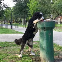 processed/40ee3acc-5285-4335-9d77-afa6347c268b/facility/771a30b4-6d4f-46cc-9790-644d59e81a66