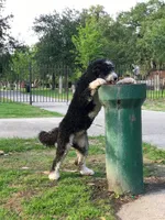 processed/40ee3acc-5285-4335-9d77-afa6347c268b/facility/771a30b4-6d4f-46cc-9790-644d59e81a66