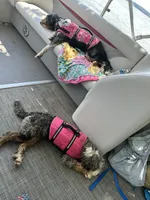 processed/40ee3acc-5285-4335-9d77-afa6347c268b/facility/7998f56a-2652-44f7-a255-04f302a7e6a9