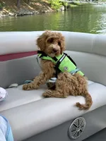 processed/40ee3acc-5285-4335-9d77-afa6347c268b/facility/a000a397-f8c8-46bc-b386-8ba02e4addf6