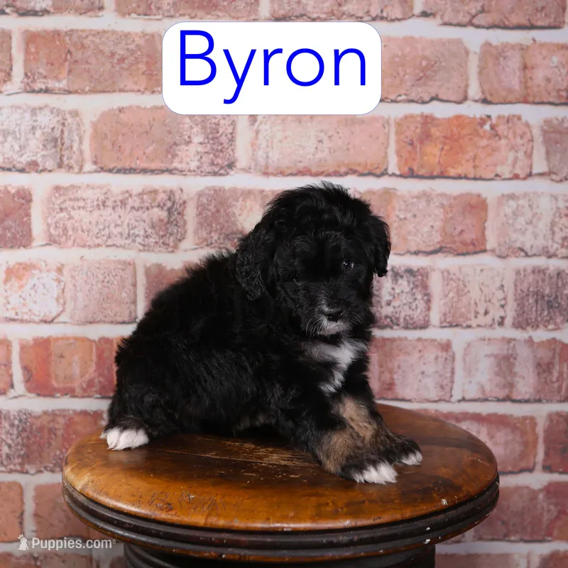 Byron