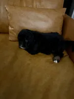 processed/40ee3acc-5285-4335-9d77-afa6347c268b/listing/7808cca1-bf9d-407d-a195-29ac04d5161e/d3e295cc-c2ac-4466-bb33-4163d4a7f5f1