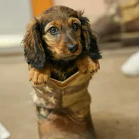 processed/40f33f9f-3846-4b64-9021-df6fcf3e0367/facility/0a0c4d72-48ad-4411-94e6-9abeb53df69e