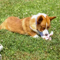 processed/40f33f9f-3846-4b64-9021-df6fcf3e0367/facility/126e84b8-ee21-47aa-9cc1-58e2c0832cb4