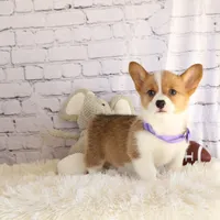 processed/40f33f9f-3846-4b64-9021-df6fcf3e0367/facility/41dd46dd-78cb-4262-8fd8-1d9017b64c45