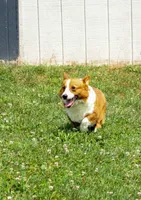 processed/40f33f9f-3846-4b64-9021-df6fcf3e0367/facility/6306b047-0c8e-4cae-a9f2-683aa30b5d63