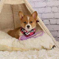 processed/40f33f9f-3846-4b64-9021-df6fcf3e0367/facility/773af7a6-8e39-4e26-b7bb-7b2a1a717fb5