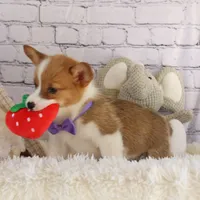 processed/40f33f9f-3846-4b64-9021-df6fcf3e0367/facility/9eb7c9df-0537-4a8e-bad6-955bab0197b5