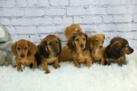 processed/40f33f9f-3846-4b64-9021-df6fcf3e0367/facility/d0e65ce5-0360-4aab-a3ed-244079150cdc