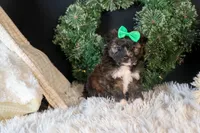 processed/40f33f9f-3846-4b64-9021-df6fcf3e0367/listing/0c12c37b-6cb6-41c8-b0f1-7205d9b56c33/0947a369-da19-48e5-813c-745e9bd8e9a5