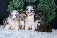 processed/40f33f9f-3846-4b64-9021-df6fcf3e0367/listing/0c12c37b-6cb6-41c8-b0f1-7205d9b56c33/2976a9b1-5029-4fe6-8a62-1d47aabeb952