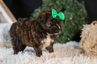 processed/40f33f9f-3846-4b64-9021-df6fcf3e0367/listing/0c12c37b-6cb6-41c8-b0f1-7205d9b56c33/836a4367-fc17-410a-b836-754a1f73a081