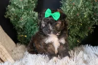 processed/40f33f9f-3846-4b64-9021-df6fcf3e0367/listing/0c12c37b-6cb6-41c8-b0f1-7205d9b56c33/b294d9ed-f463-4e25-8eb2-6598a2fbbdc9