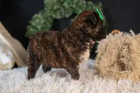 processed/40f33f9f-3846-4b64-9021-df6fcf3e0367/listing/0c12c37b-6cb6-41c8-b0f1-7205d9b56c33/c80a9b61-5465-48a9-873b-987b9c53443b