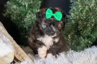 processed/40f33f9f-3846-4b64-9021-df6fcf3e0367/listing/0c12c37b-6cb6-41c8-b0f1-7205d9b56c33/f1ab5d73-4cd0-489e-a49f-bd3bfcf7493a