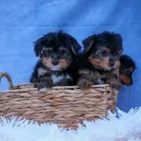 processed/40f33f9f-3846-4b64-9021-df6fcf3e0367/listing/46bdd073-5348-45ab-bcf2-980cdaca6a54/03384d78-3a1b-46c4-806f-23c82015e180