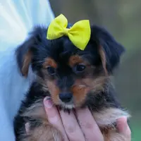 processed/40f33f9f-3846-4b64-9021-df6fcf3e0367/listing/46bdd073-5348-45ab-bcf2-980cdaca6a54/211802ae-cafa-4ad5-a8f3-54d03f0ecc39