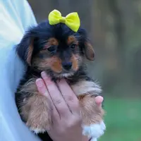 processed/40f33f9f-3846-4b64-9021-df6fcf3e0367/listing/46bdd073-5348-45ab-bcf2-980cdaca6a54/30ce56fc-057c-40af-a86d-a26d6060b313