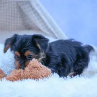 processed/40f33f9f-3846-4b64-9021-df6fcf3e0367/listing/46bdd073-5348-45ab-bcf2-980cdaca6a54/6bd2cfcb-454f-4810-9bee-a6bd44b3e476