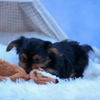 processed/40f33f9f-3846-4b64-9021-df6fcf3e0367/listing/46bdd073-5348-45ab-bcf2-980cdaca6a54/836f6696-cc38-4fb8-8be0-834154de2d90